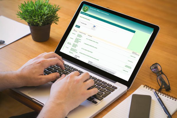 Business Verification Services