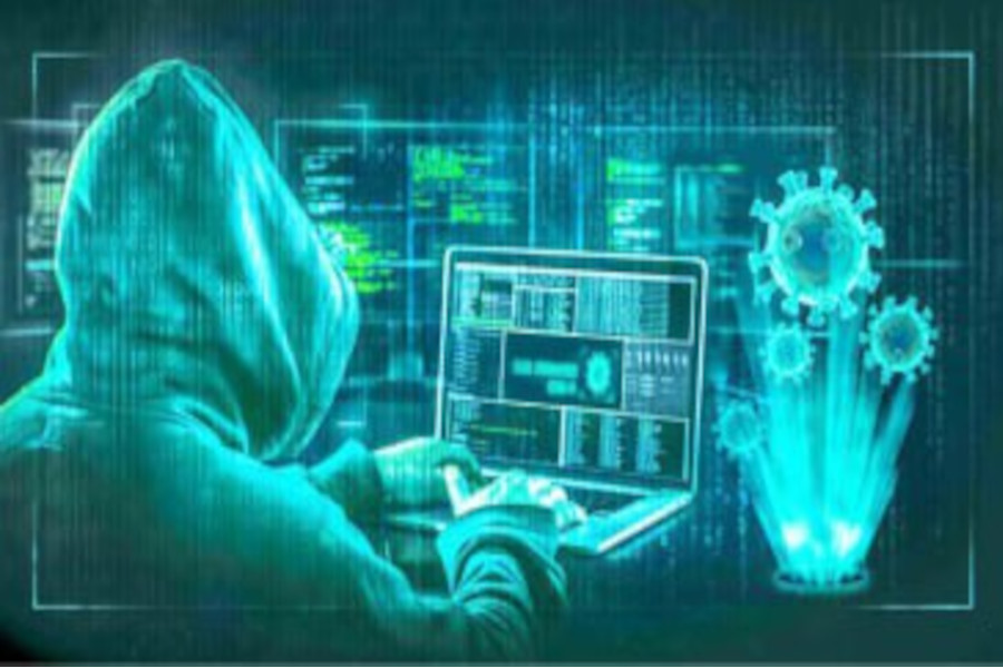 Fraud Investigation